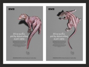 Award II Appled Art & Graphc Design  A QUESTION campaign on stable hair brushes
